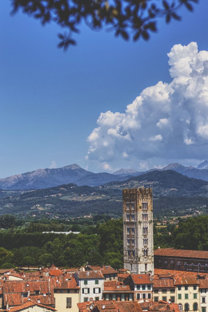 Torre Guinigi, incontri a Lucca